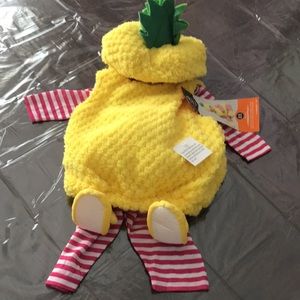 Pineapple costume